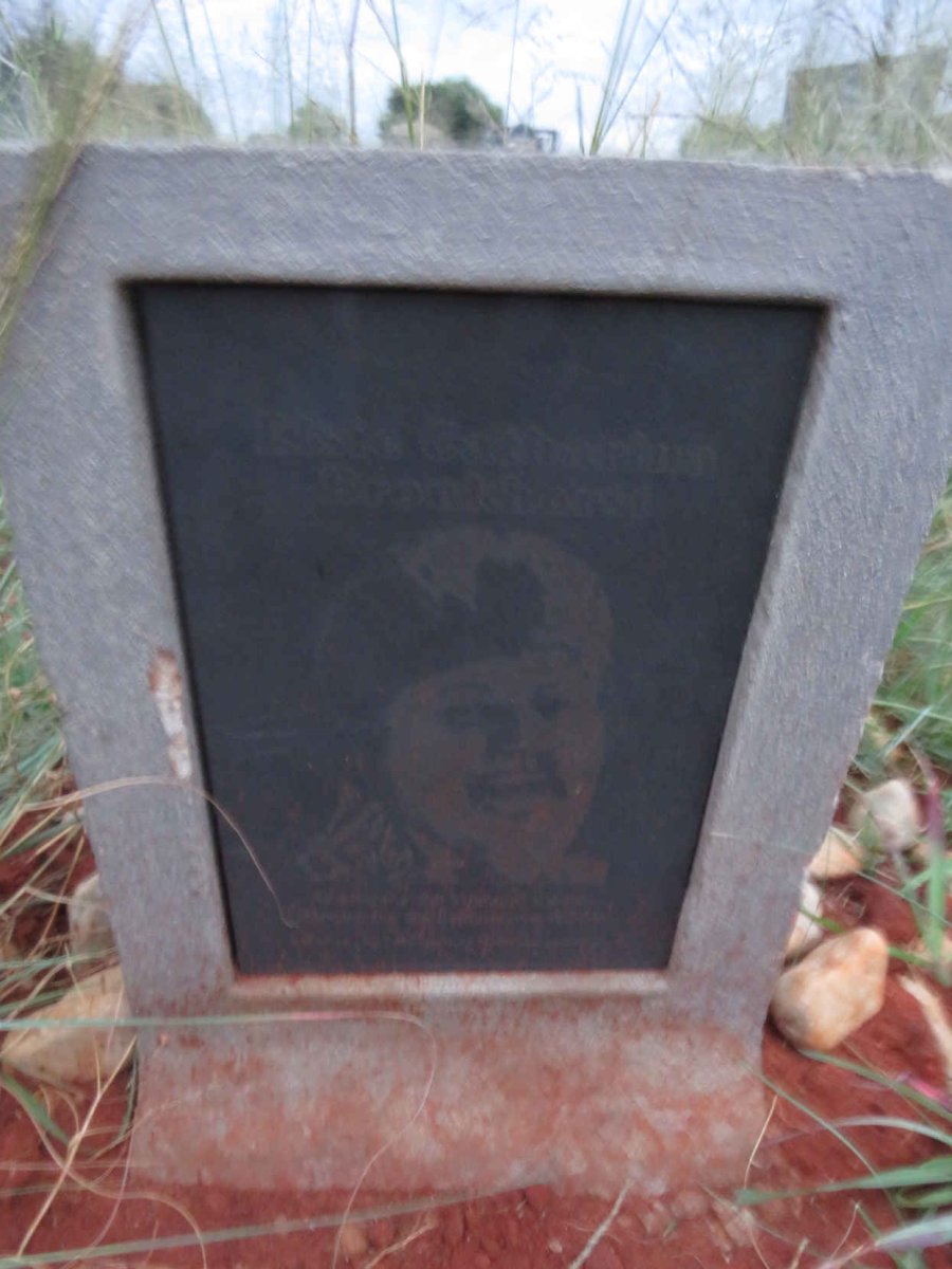 BRONKHORST Elsie Catharina 