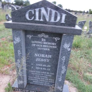 CINDI Norah Jessy 1969-2014