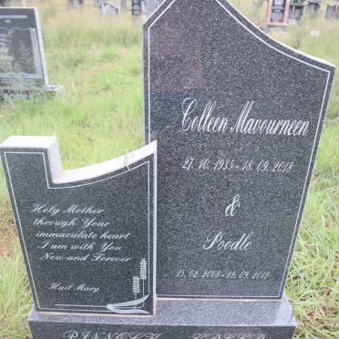 PINNOCK Colleen Mavourneen nee GREER 1935-2018 & Poodle 2008-2018