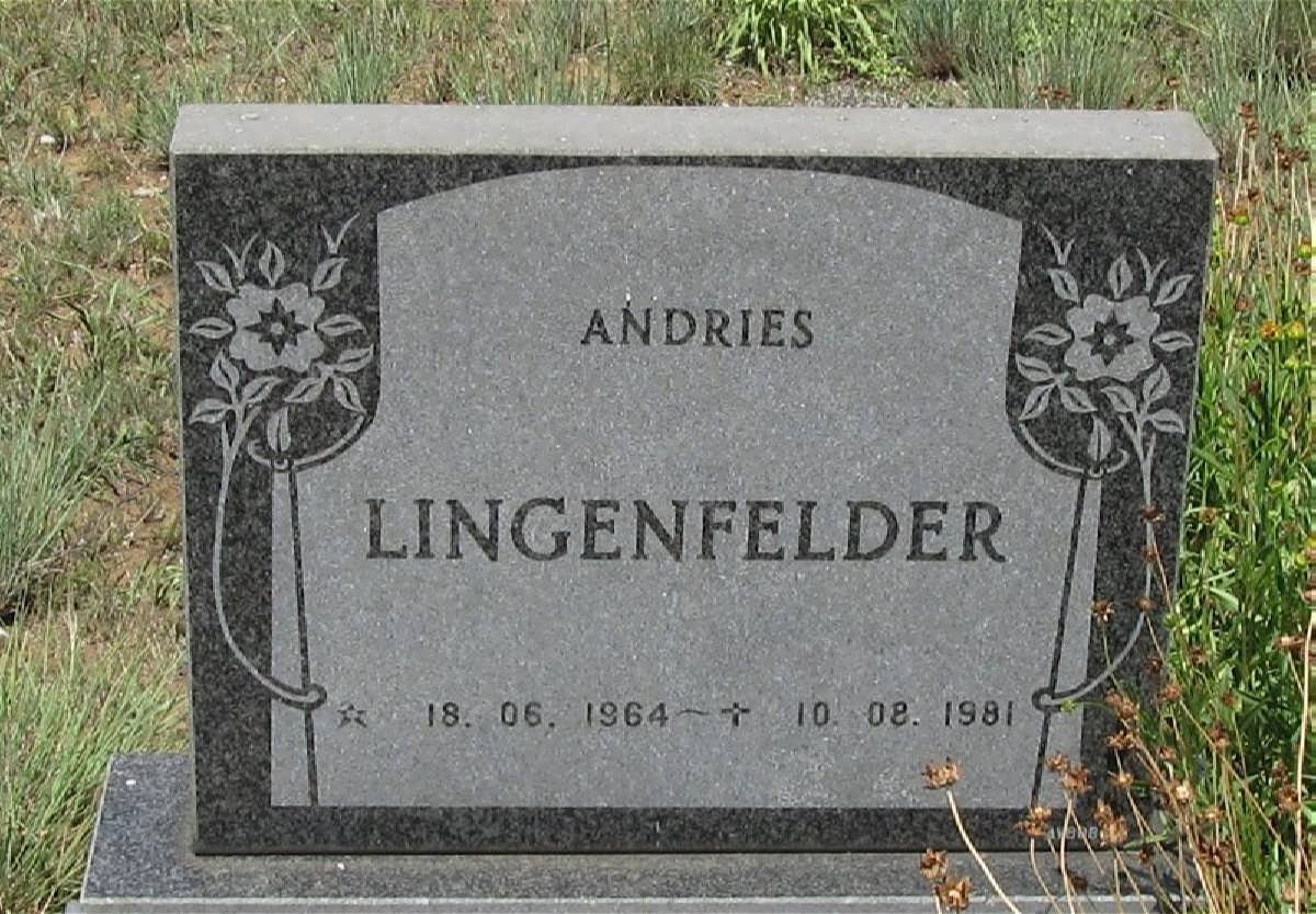 LINGENFELDER Andries 1964-1981