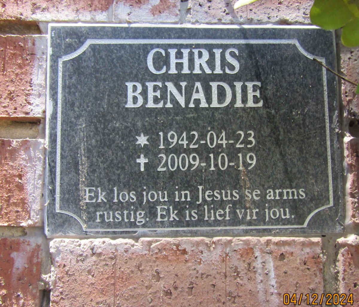 BENADIE Chris 1942-2009