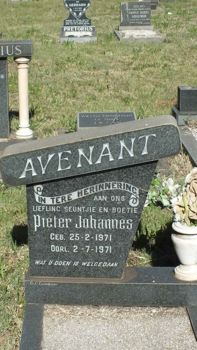AVENANT Pieter Johannes 1971-1971