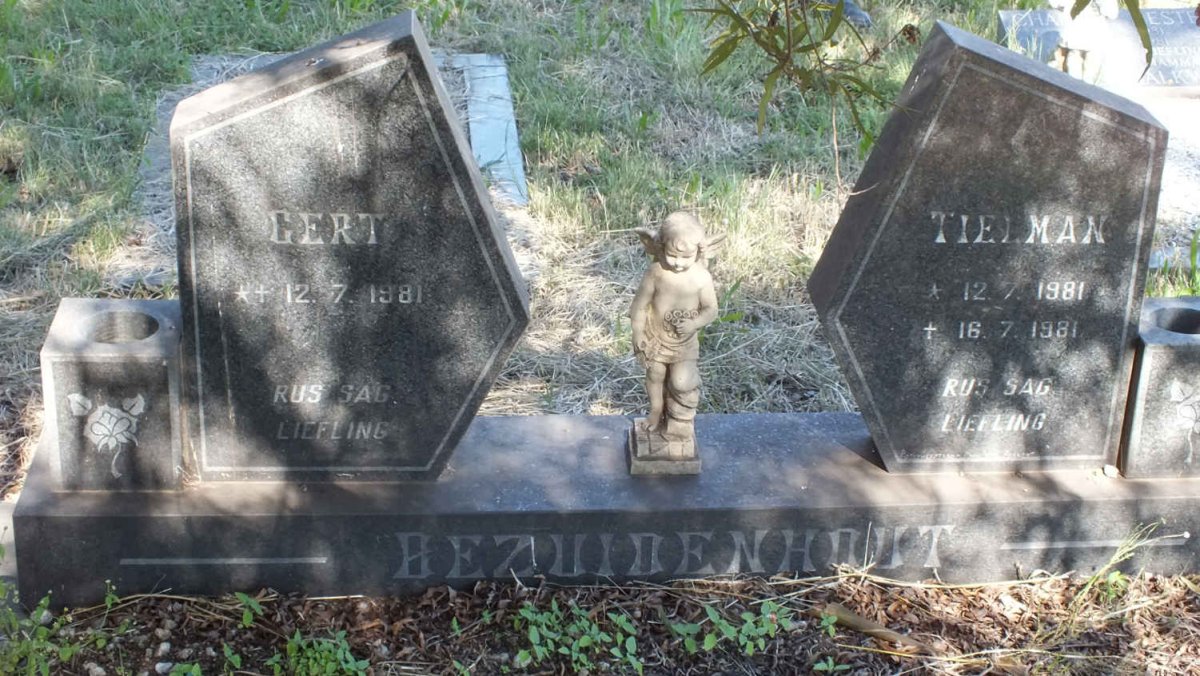 BEZUIDENHOUT Gert 1981-1981 :: BEZUIDENHOUT Tielman 1981-1981