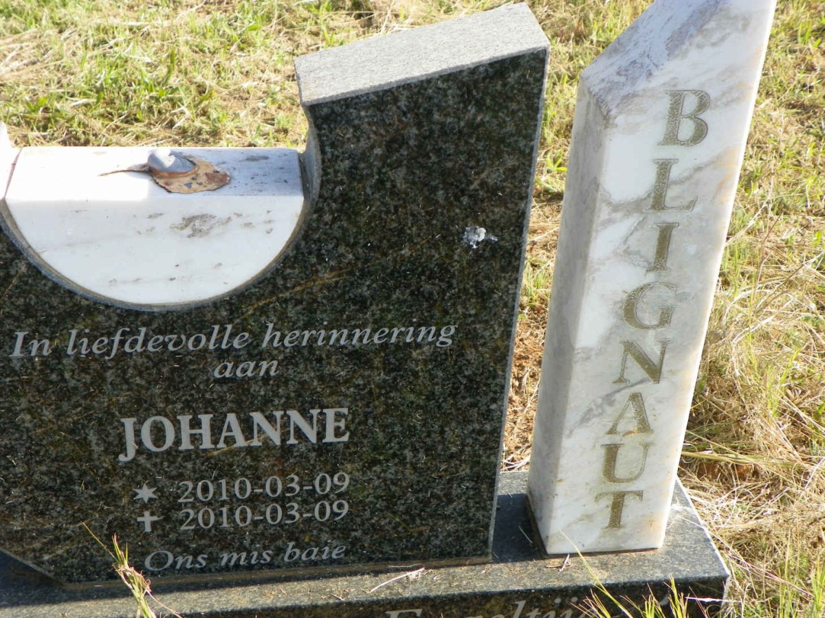 BLIGNAUT Johanne 2010-2010