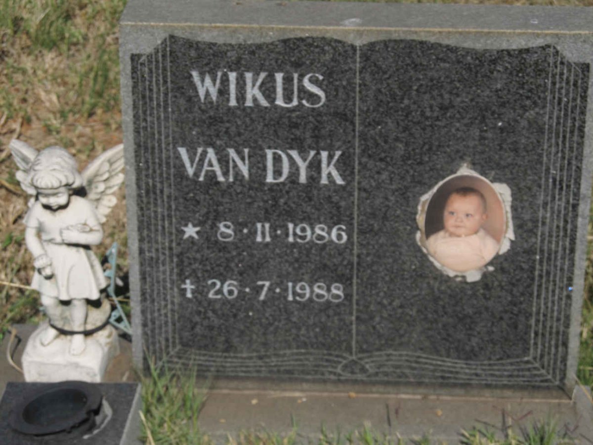 DYK Wikus, van 1986-1988