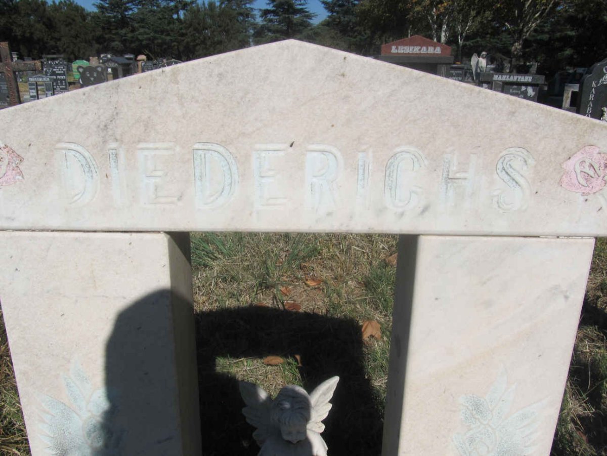 DIEDERICHS Nikita 1988-1990