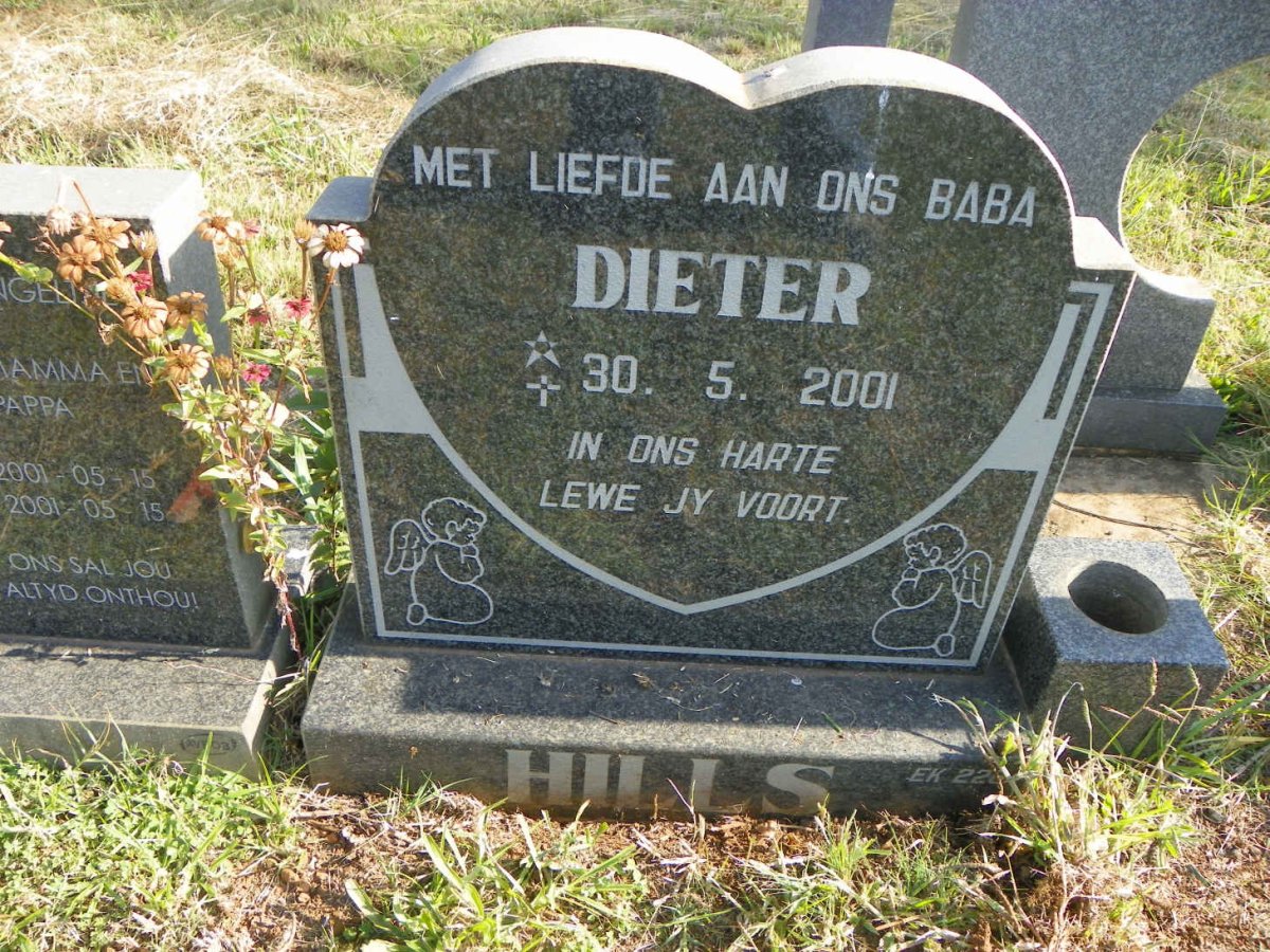 HILLS Dieter 2001-2001