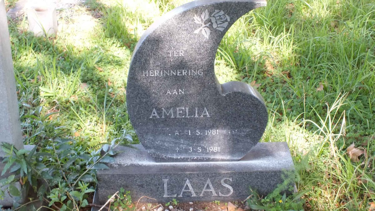 LAAS Amelia 1981-1981