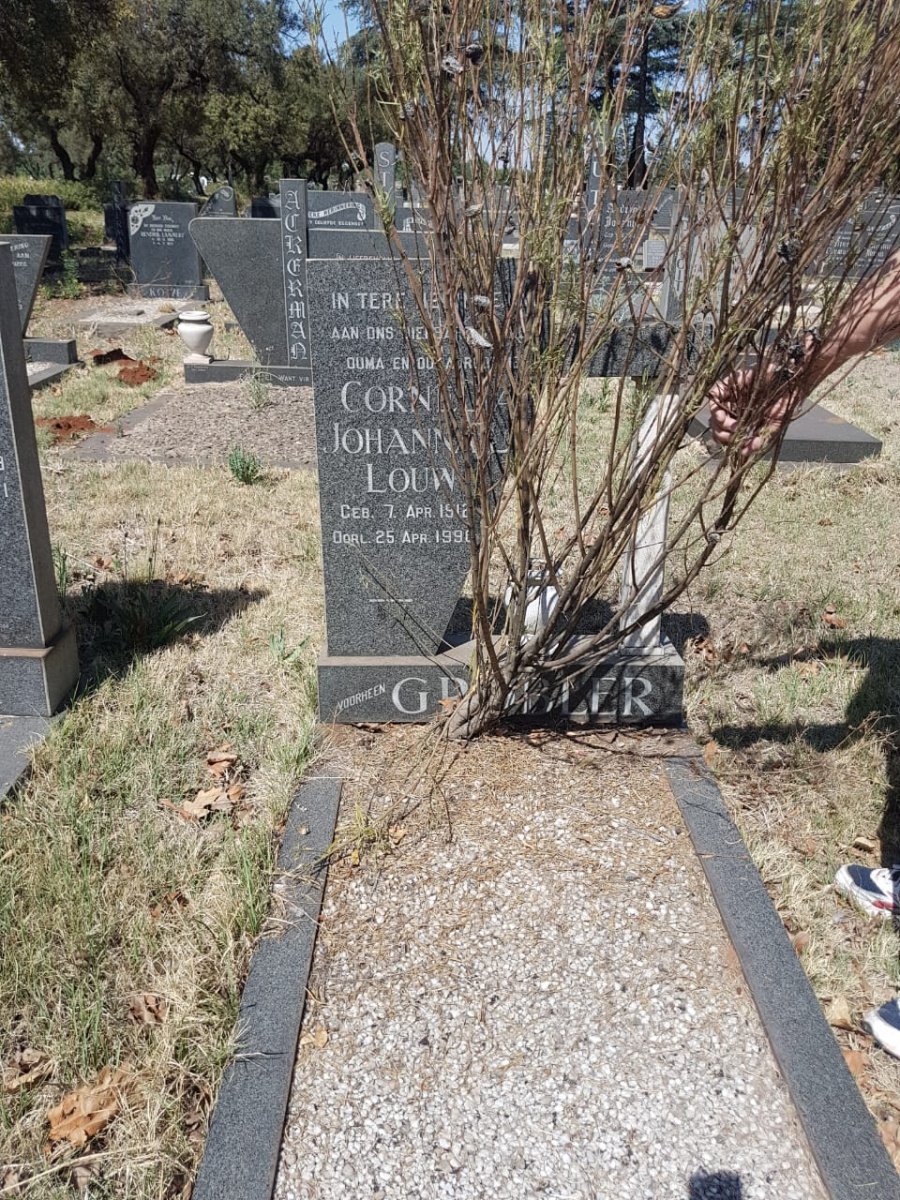 LOUW Cornelia Johanna L. voorheen GROBLER 1912-1990