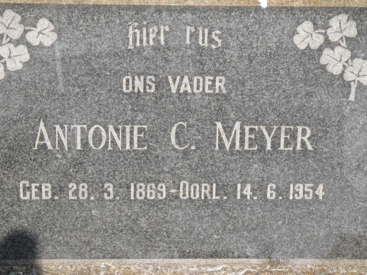 MEYER Antonie C. 1869-1954