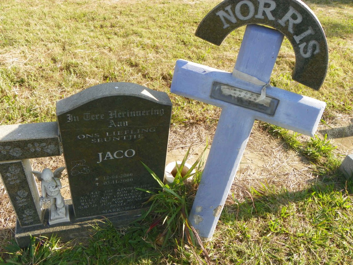 NORRIS Jaco 2000-2000
