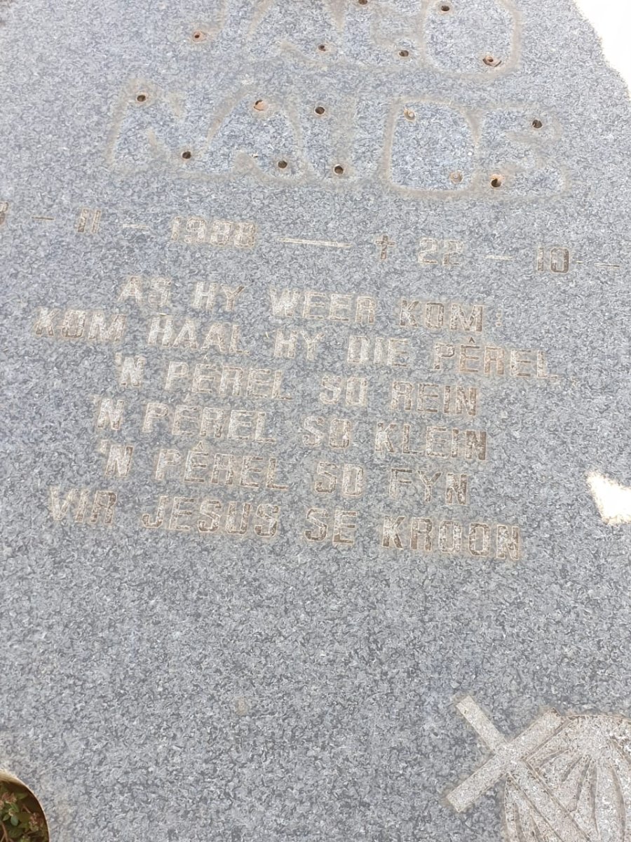 NAUDE ? 1988-