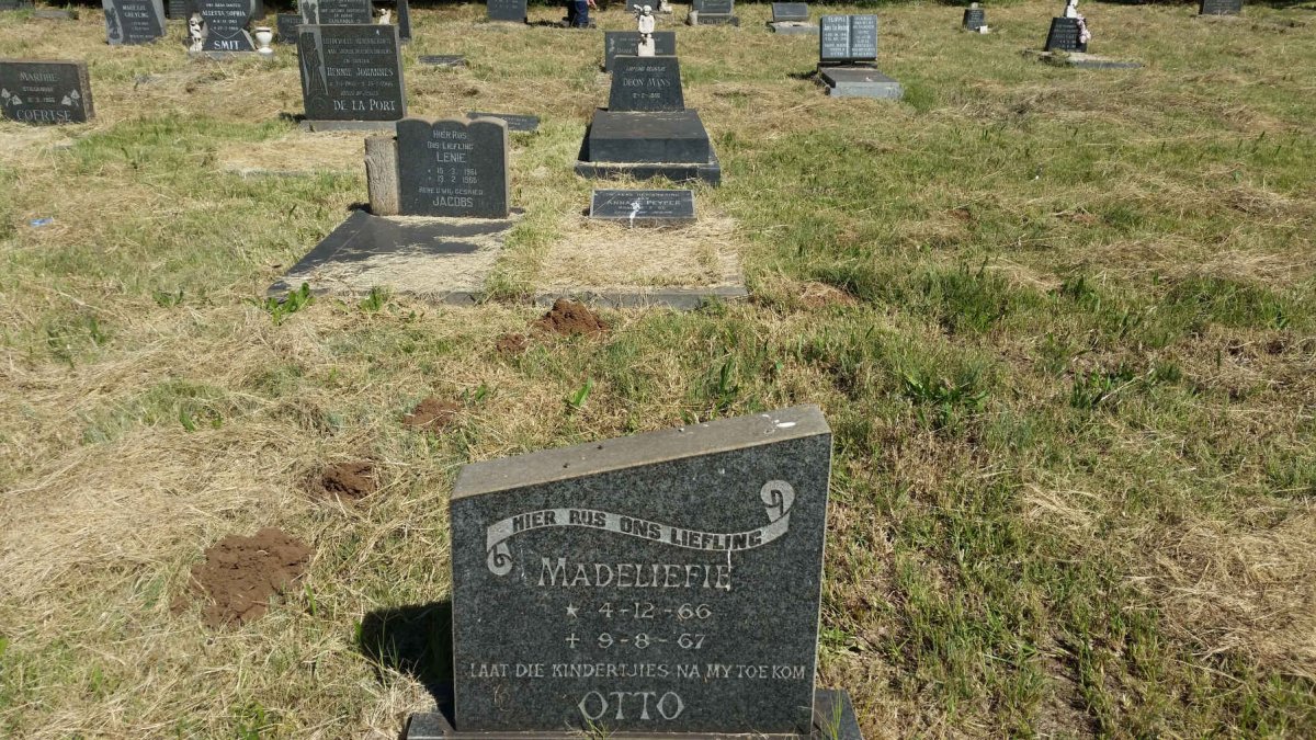 OTTO Madeliefie 1966-1967