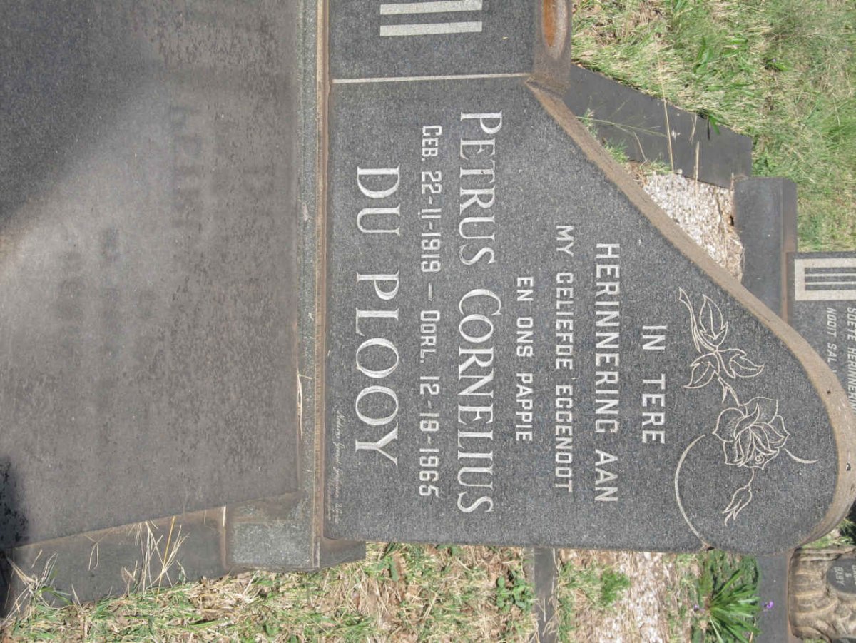 PLOOY Petrus Cornelius, du 1919-1965