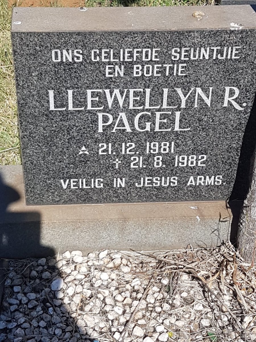 PAGEL Llewellyn R. 1981-1982