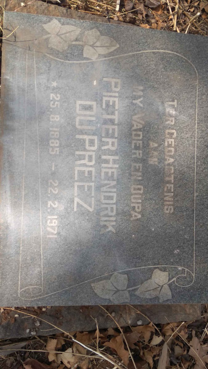 PREEZ Pieter Hendrik, du 1885-1971