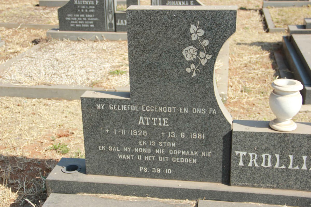 TROLLIP Attie 1928-1981