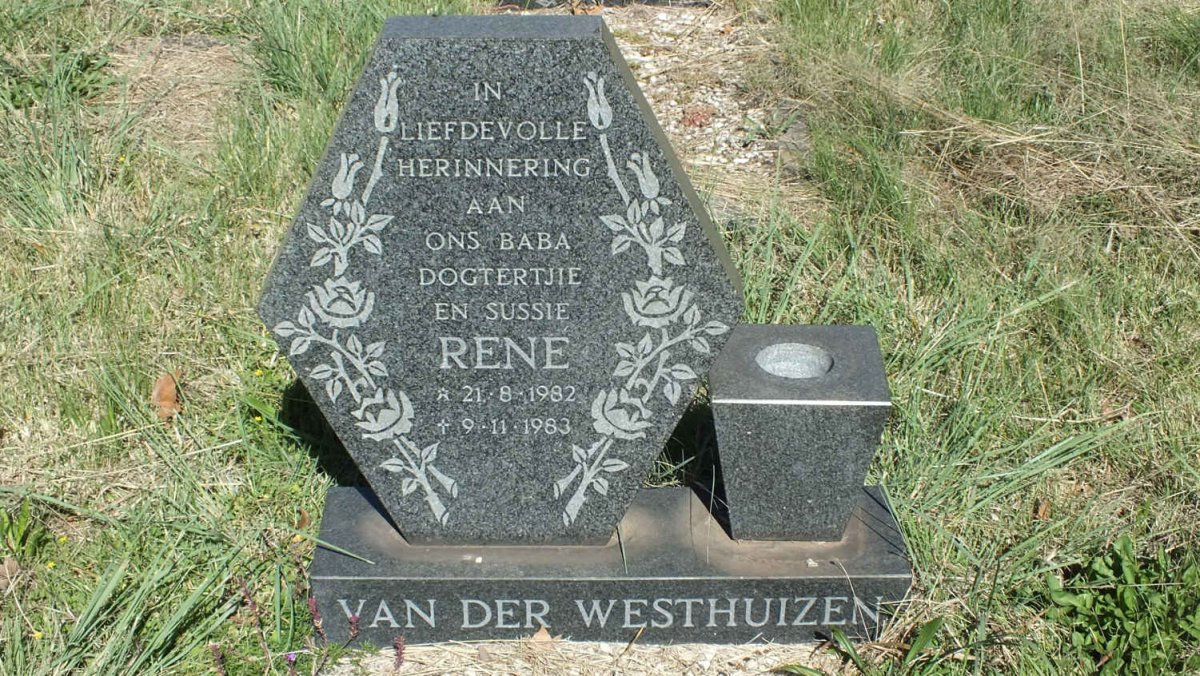 WESTHUIZEN René, van der 1982-1983