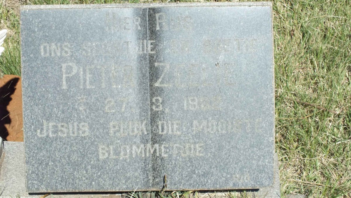 ZEELIE Pieter 1982-1982