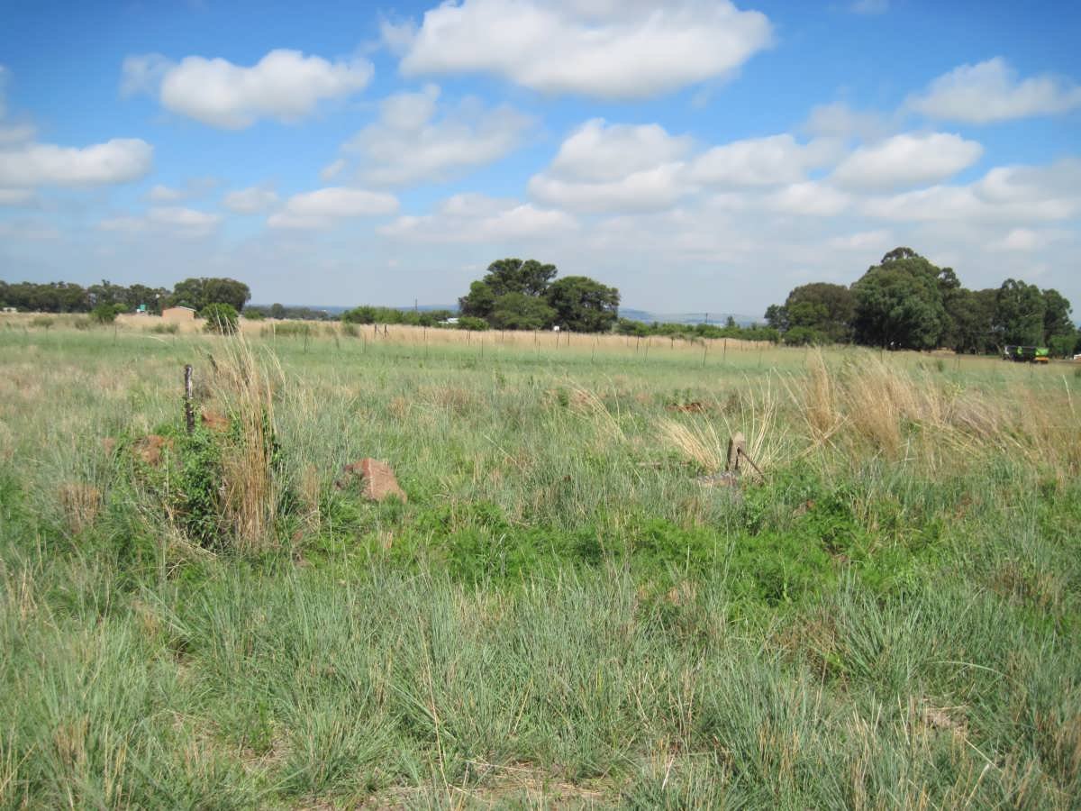 3. Overview